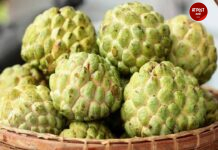 सीताफळ खाण्याचे हे आहेत ‘४’ फायदे; अनेक आजारांवर गुणकारी, वाचा सविस्तर माहिती!