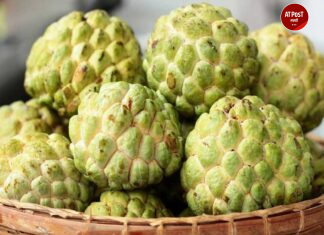 सीताफळ खाण्याचे हे आहेत ‘४’ फायदे; अनेक आजारांवर गुणकारी, वाचा सविस्तर माहिती!