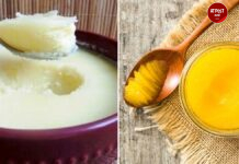 तुप खाणे शरीरासाठी अत्यंत चांगले; पण गायचे की म्हशीचे? कोणते तुप शरीरासाठी फायद्याचे? जाणून घ्या सविस्तर माहिती!