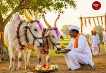 बैलपोळा का साजरा करतात? पौराणिक कथा आणि विज्ञान जाणून घ्या