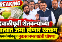 दिवाळीपूर्वी शेतकऱ्यांच्या खात्यात जमा होणार रक्कम, मुख्यमंत्र्यांकडून नुकसानभरपाईची घोषणा