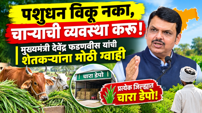 Don't Sell Your Livestock! CM Devendra Fadnavis Assures Farmers of Fodder Supply; Fodder Depots to Be Set Up in Every District