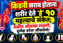 किडनी खराब होताना शरीर देते ‘हे’ १० महत्त्वाचे संकेत; वेळीच ओळखा लक्षणे, दुर्लक्ष ठरेल जीवघेणे!