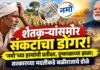 शेतकऱ्यांसमोर संकटांचा डोंगर! ‘नमो’च्या हप्त्यांची प्रतीक्षा, दुष्काळाच्या झळा; सरकारच्या मदतीकडे बळीराजाचे डोळे